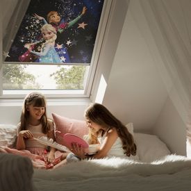 Velux